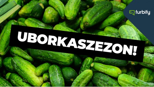 Uborkaszezon 2021