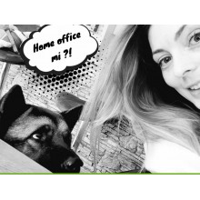 Így ne őszülj bele a home officeba!